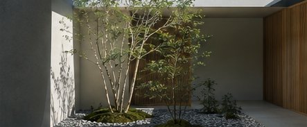 白い壁に囲まれた坪庭に、株立ちの木が伸びる住まい